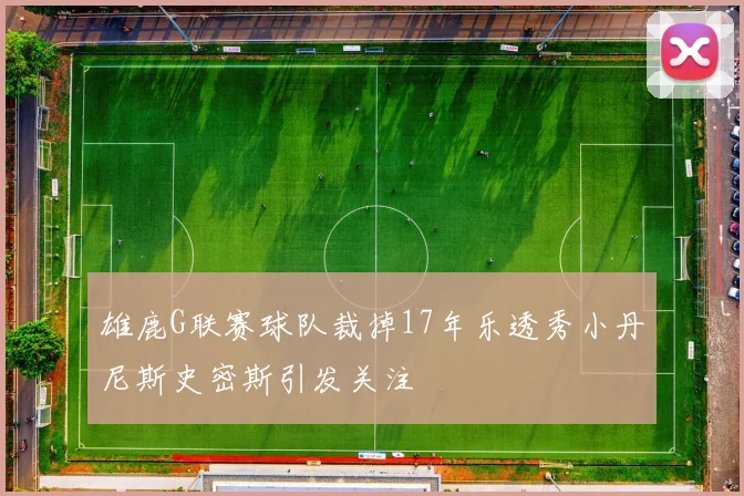 雄鹿G联赛球队裁掉17年乐透秀小丹尼斯史密斯引发关注